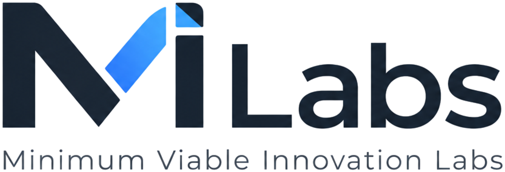MVI Labs, Minimum Viable Innovation Labs
